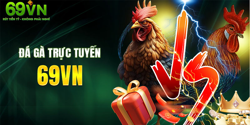 Livestream hơn 100 trận đấu đá gà mỗi ngày
