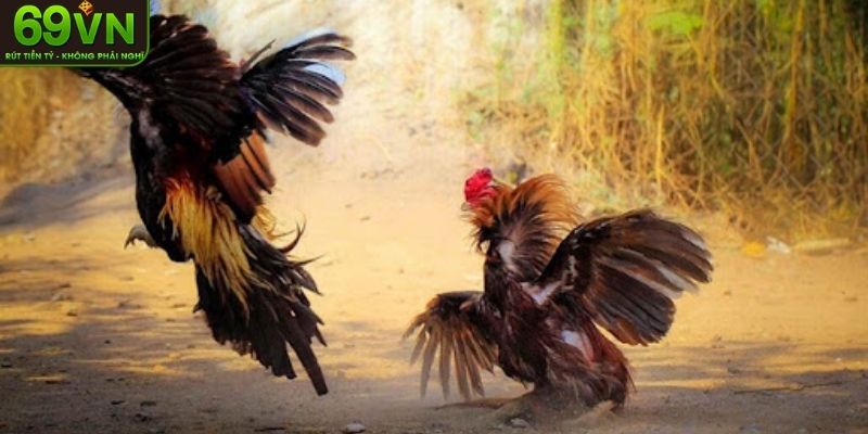 Những loại cược hấp dẫn anh em cần nắm